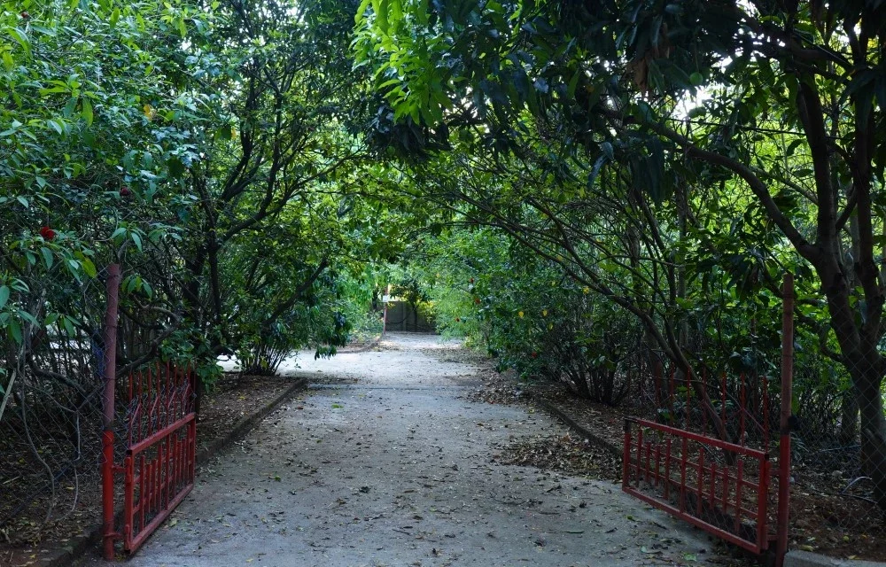 Image of Blog at Twyla Farms & Resorts